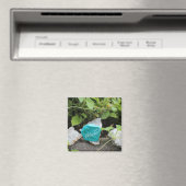 Aimant Blessed Rock caché dans un jardin (In Situ (Lave-vaisselle))