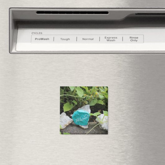 Aimant Blessed Rock caché dans un jardin (In Situ (Lave-vaisselle))