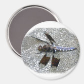 Aimant Bleu (Recto/Verso)