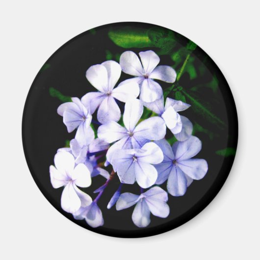 Aimant Bleu (Devant)