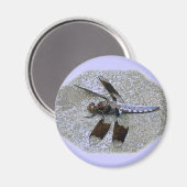 Aimant Bleu (Recto/Verso)