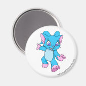 Aimant Bleu d'Acara (Recto/Verso)