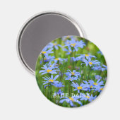 Aimant Bleu Daisy (Recto/Verso)