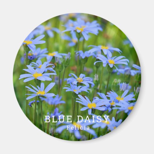 Aimant Bleu Daisy (Devant)