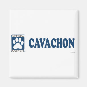 Aimant Bleu de Cavachon