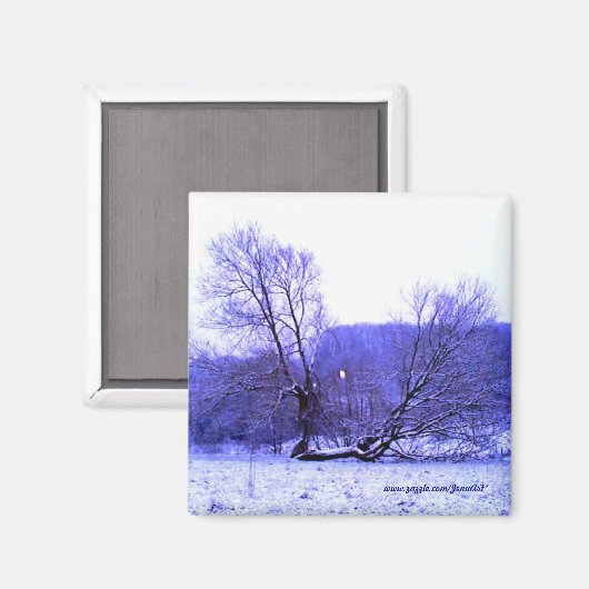 Aimant Bleu de l'arbre tombé (Recto/Verso)