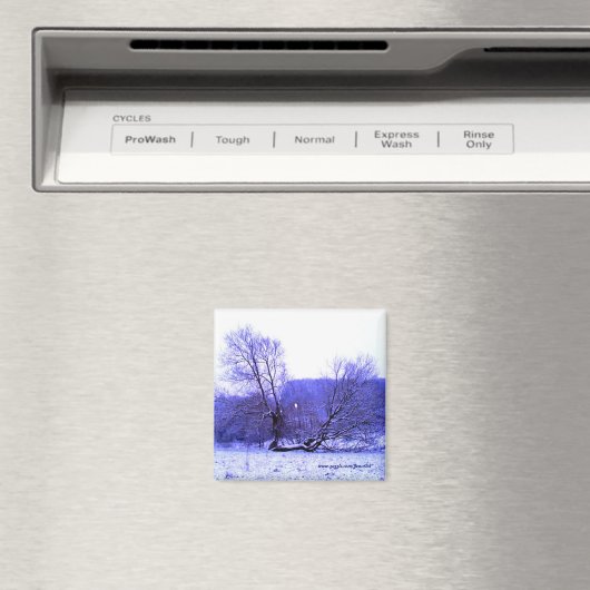 Aimant Bleu de l'arbre tombé (In Situ (Lave-vaisselle))