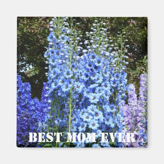 Aimant Bleu Delphinium Fleurs Florales Jardin Nature Magn (Devant)