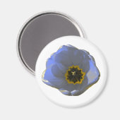 Aimant bleu et jaune pour tulipe (Recto/Verso)