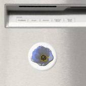 Aimant bleu et jaune pour tulipe (In Situ (Lave-vaisselle))