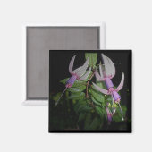 Aimant bleu Fushia (Recto/Verso)