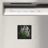 Aimant bleu Fushia (In Situ (Lave-vaisselle))