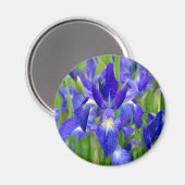 Aimant bleu Iris Fleurs (Recto/Verso)