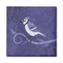 Aimant bleu Jay