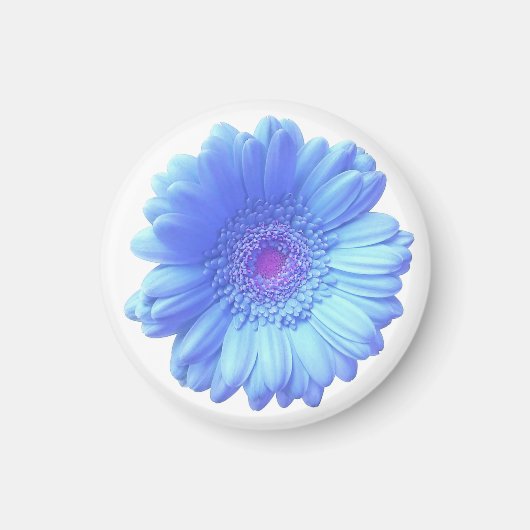 Aimant Bleu marguerite (Devant)
