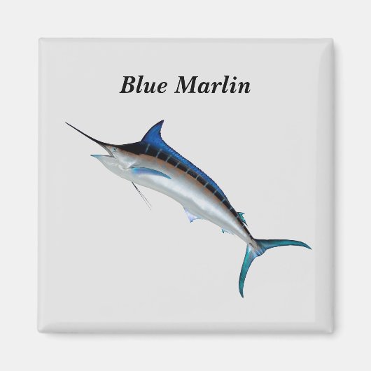 Aimant bleu Marlin (Devant)