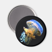 Aimant Bleu méduse (Recto/Verso)