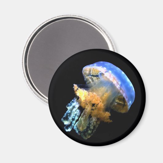 Aimant Bleu méduse (Recto/Verso)