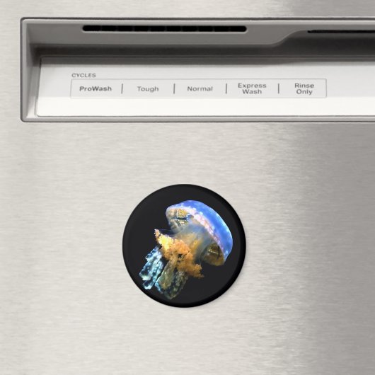 Aimant Bleu méduse (In Situ (Lave-vaisselle))