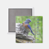 Aimant Bleu nord-américain du bonheur (Recto/Verso)