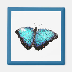 Aimant Bleu Papillon Nature Art, Belle Photo Illustration
