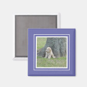 Aimant Bleu personnalisé Modèle photo élégant (Recto/Verso)