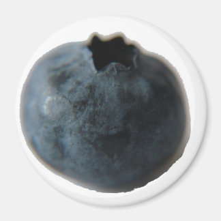 Aimant bleuet
