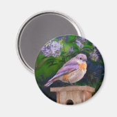 Aimant Bleuet de l'Est en neige - Photo originale (Recto/Verso)