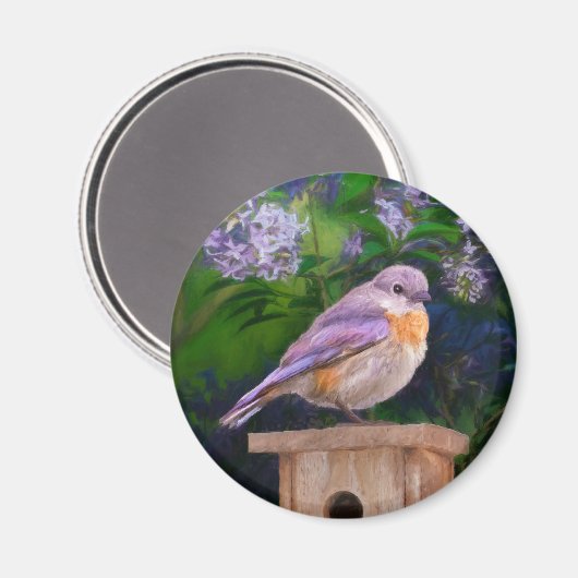 Aimant Bleuet de l'Est en neige - Photo originale (Recto/Verso)