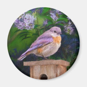 Aimant Bleuet de l'Est en neige - Photo originale