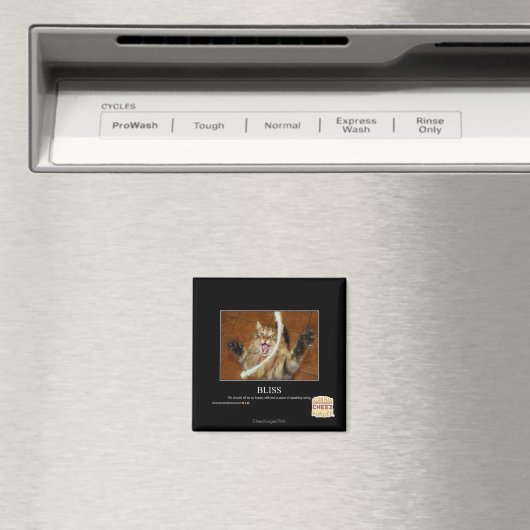 Aimant Bliss (In Situ (Lave-vaisselle))