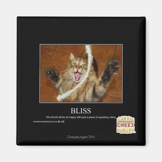 Aimant Bliss (Devant)