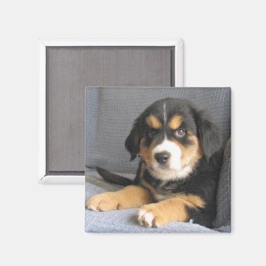 Aimant Blitzen (Recto/Verso)