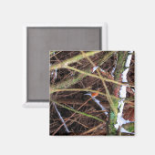 Aimant Blizzard Bird CB (Recto/Verso)