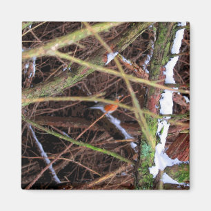 Aimant Blizzard Bird CB