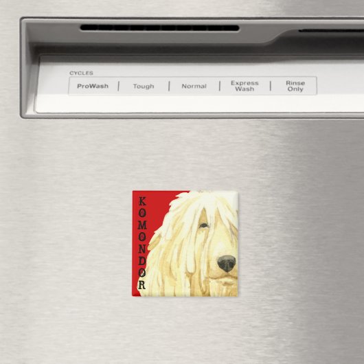 Aimant Bloc couleur Komondor (In Situ (Lave-vaisselle))