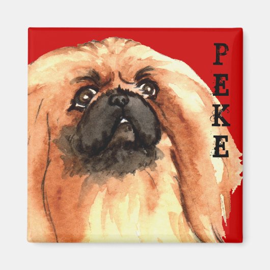 Aimant Bloc de couleur Pekingese (Devant)