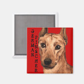Aimant Bloc de couleur Pinscher allemand (Recto/Verso)