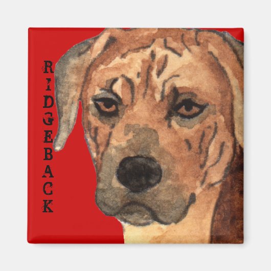 Aimant Bloc de couleur Rhodesian Ridgeback (Devant)