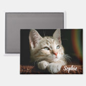 Aimant Bloc photo pour animaux (Recto/Verso)