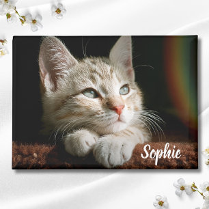 Aimant Bloc photo pour animaux