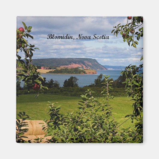 Aimant Blomidin, Nouvelle-Écosse, Canada (Devant)