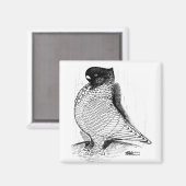 Aimant Blondinette Pigeon Laced 1978 (Recto/Verso)