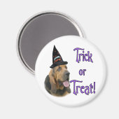 Aimant Bloodhound Trick (Recto/Verso)