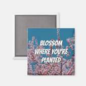 Aimant BLOSSOM DE Cerisier Floral OÙ VOUS ÊTES PLANTÉ (Recto/Verso)