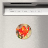Aimant Blossom de la tulipe rouge (In Situ (Lave-vaisselle))