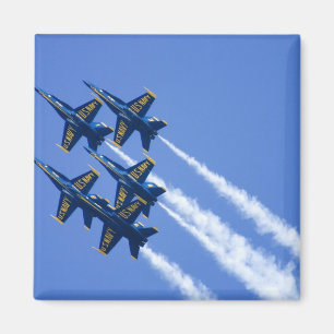 Aimant Blue Angels a volé pendant la Semaine de la flotte