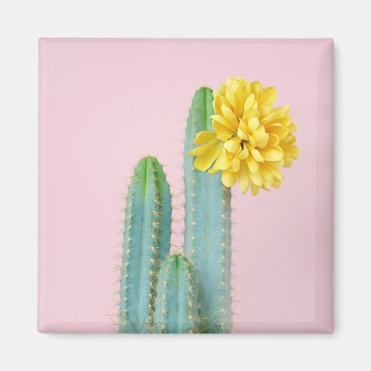 Aimant Blue Cactus Trio (Devant)