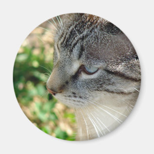 Aimant Blue Eyes Kitty
