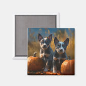 Aimant Blue Heeler Chiot Automne Citrouille de plaisir (Recto/Verso)